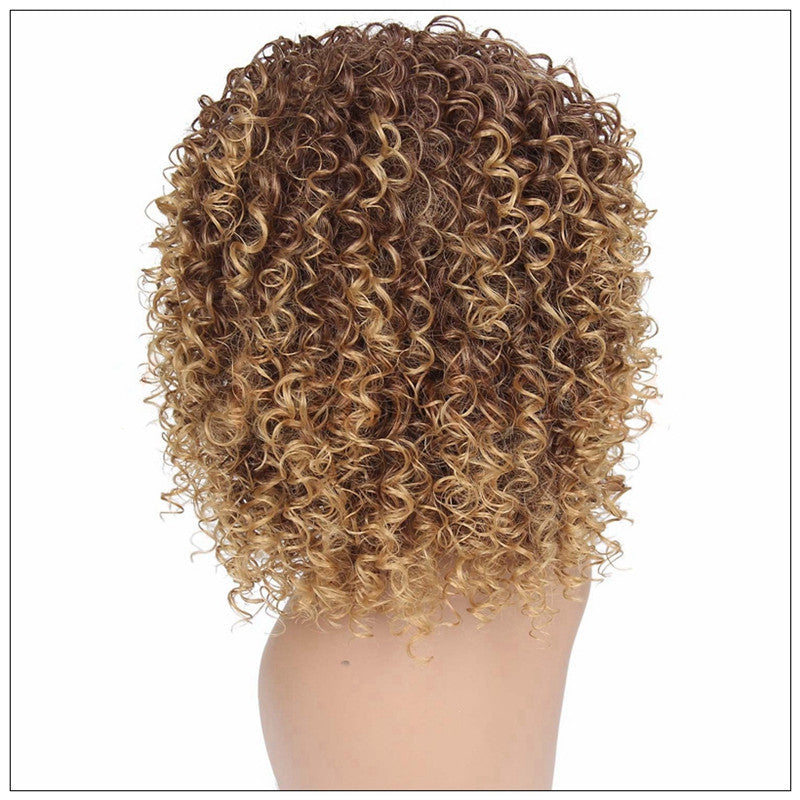 Black fluffy small curly wig