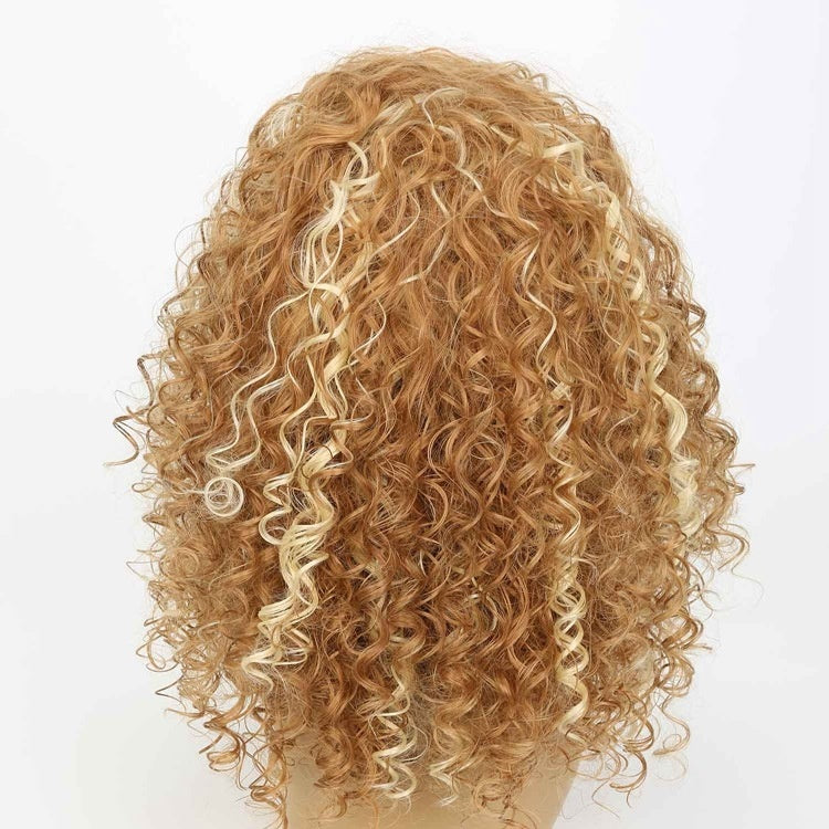 Women's Mixed Color Long African Long Curly Wig